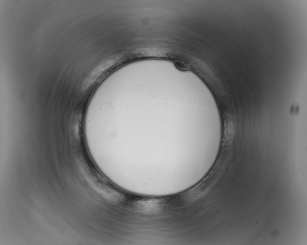 X0000115110120200911171314
