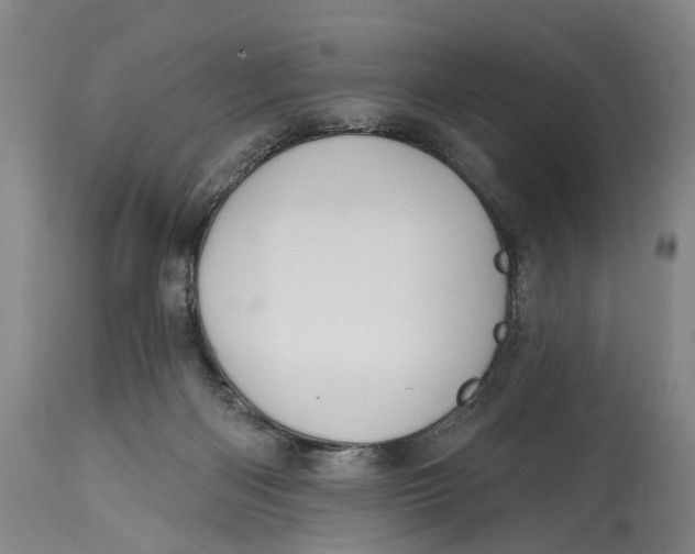 X0000115110122200911171314