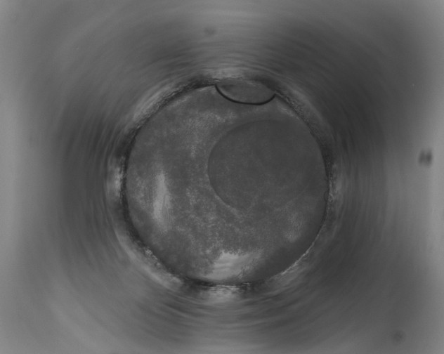 X0000115110124200911171314