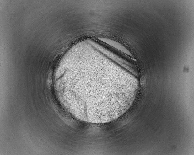 X0000115110127200911171314