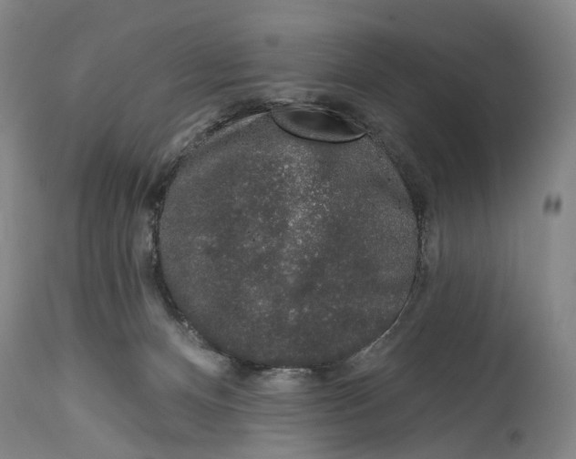 X0000115110128200911171314