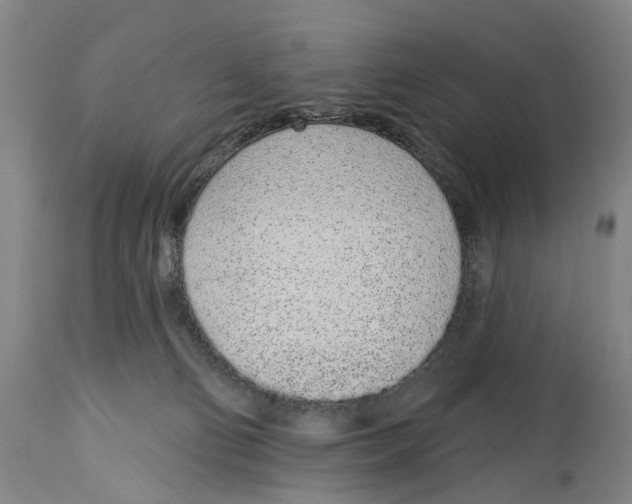 X0000115110130200911171314
