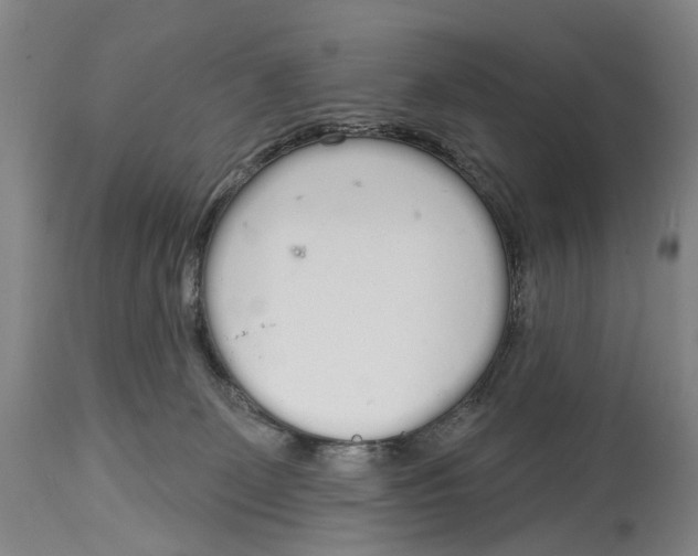 X0000115110131200911171314