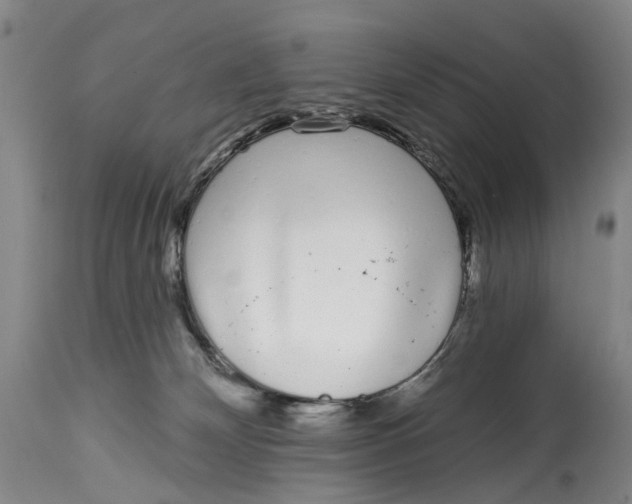 X0000115110132200911171314