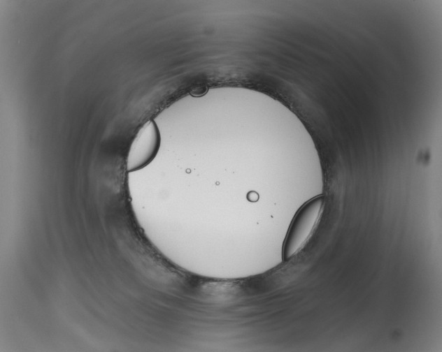 X0000115110133200911171314