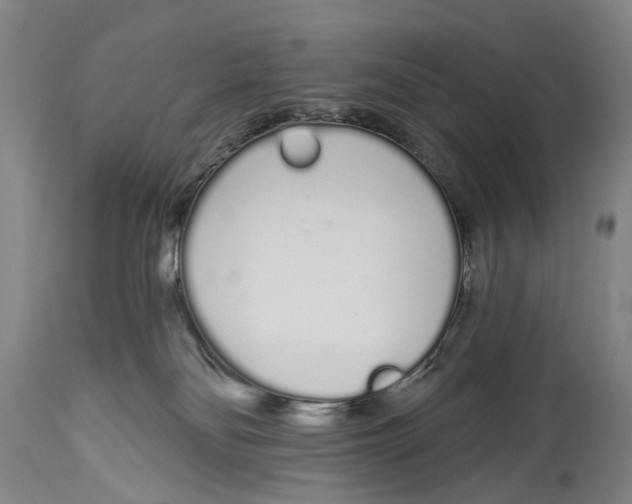 X0000115110134200911171314