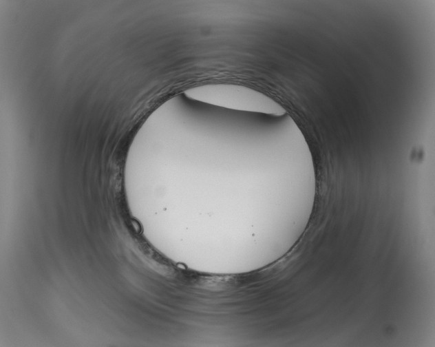 X0000115110136200911171314