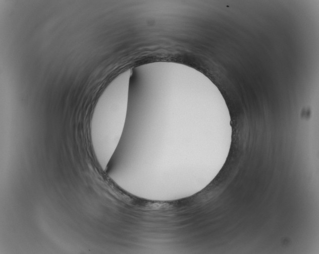 X0000115110137200911171314