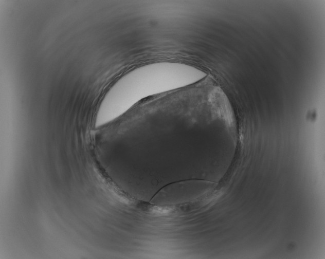 X0000115110139200911171314