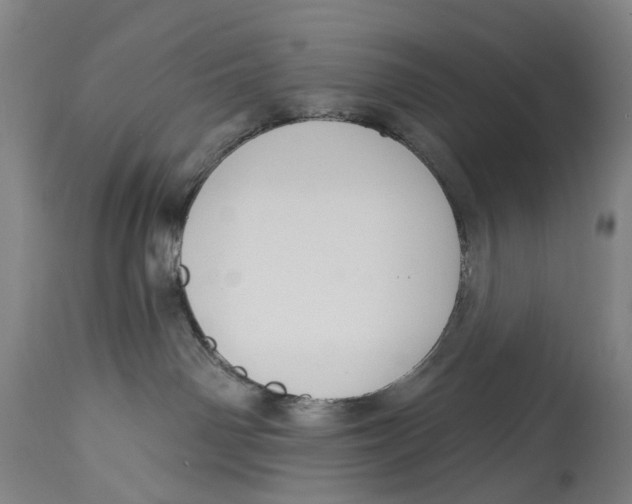 X0000115110142200911171313