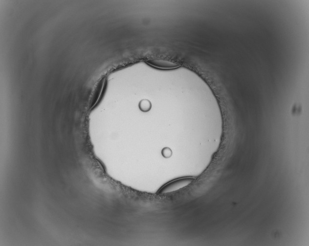 X0000115110144200911171313