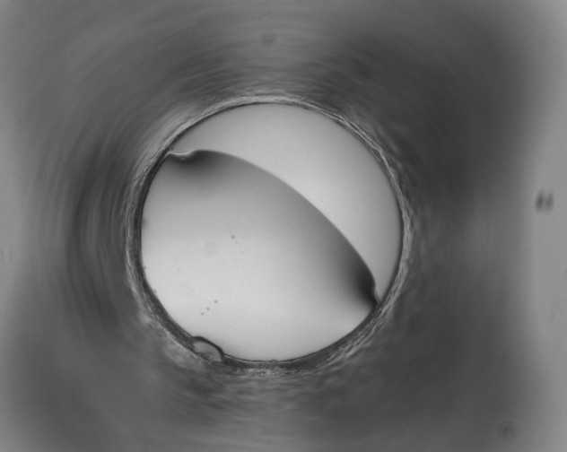 X0000115110145200911171313