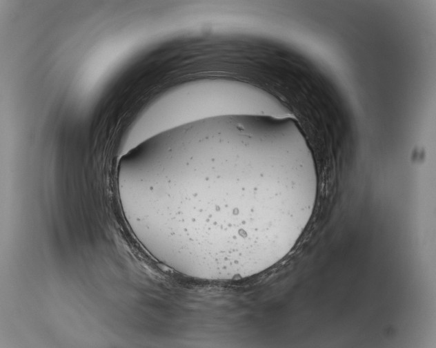 X0000115110146200911171313