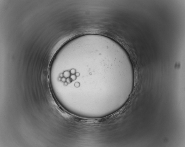 X0000115110147200911171313