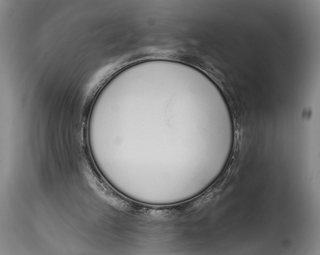 X0000115110149200911171313