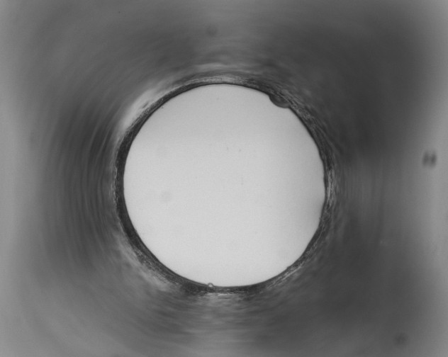 X0000115110150200911171313