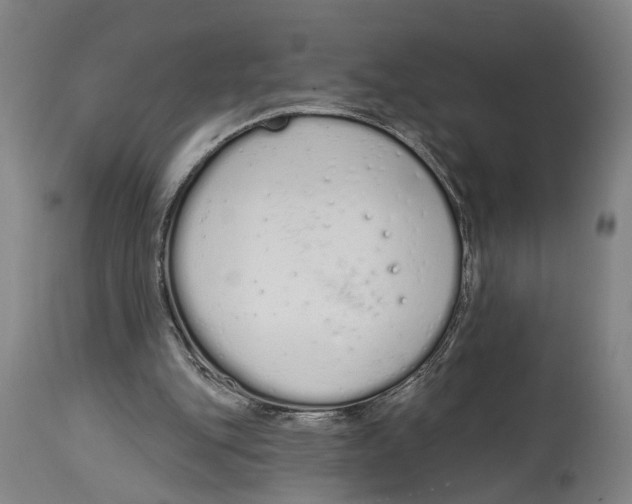 X0000115110151200911171313
