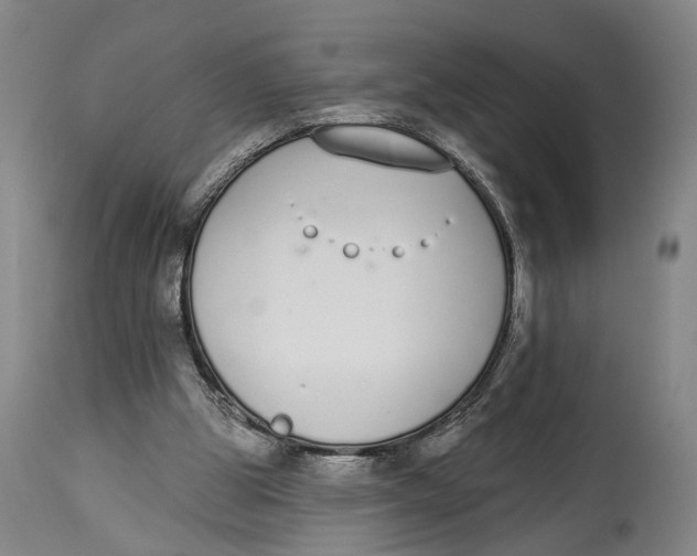 X0000115110153200911171313