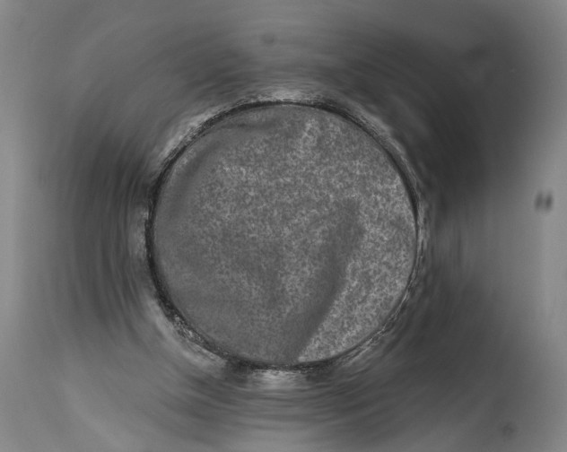 X0000115110154200911171313