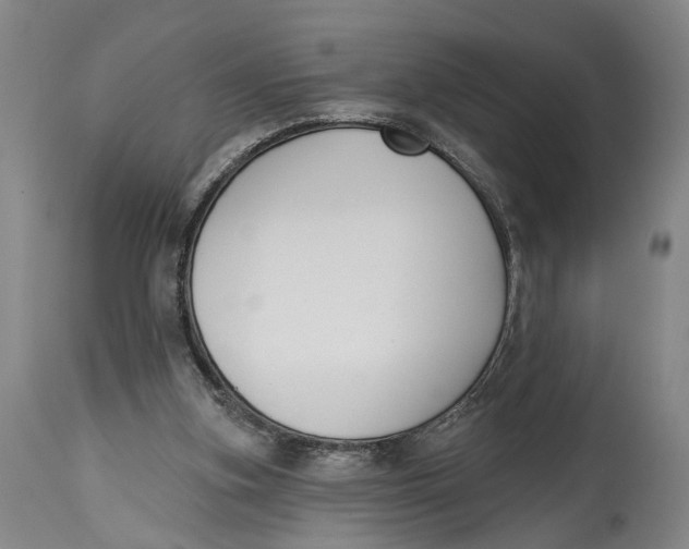 X0000115110155200911171313