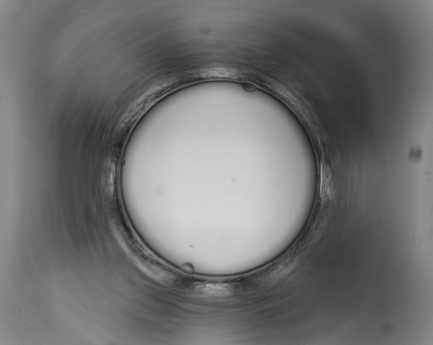 X0000115110157200911171313
