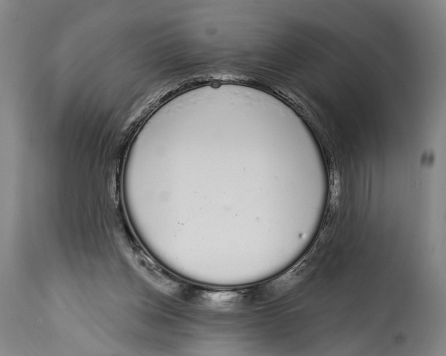X0000115110158200911171313