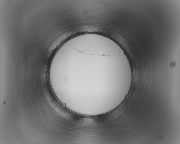 X0000115110159200911171313