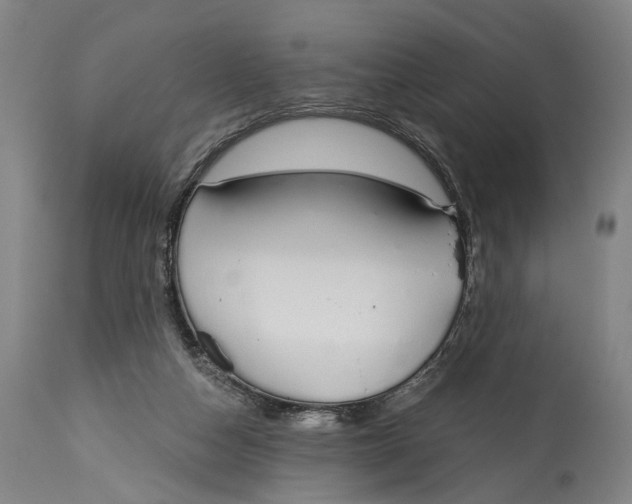 X0000115110162200911171313