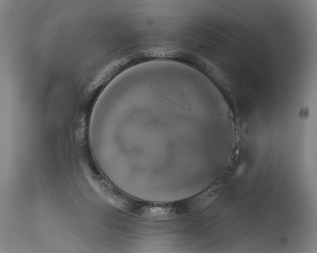X0000115110163200911171313