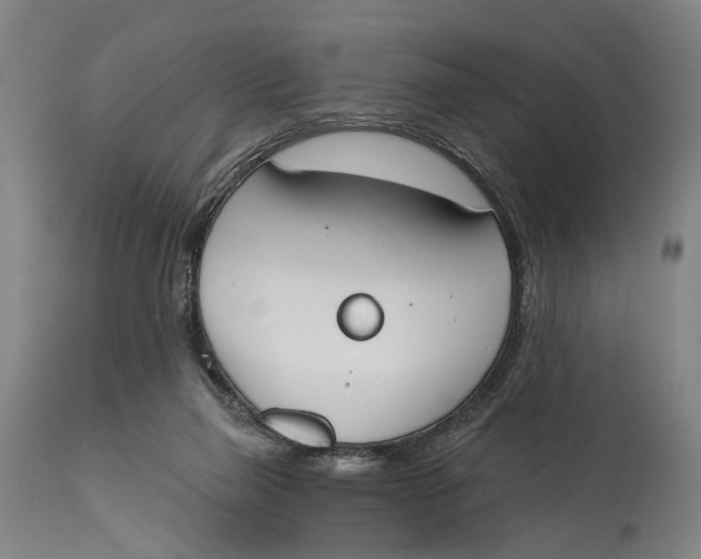 X0000115110165200911171313