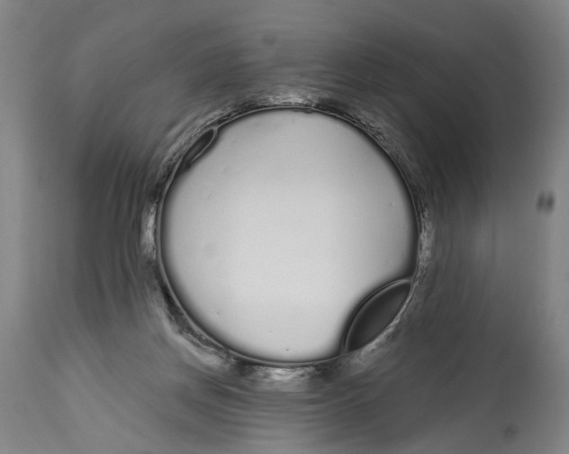X0000115110166200911171313