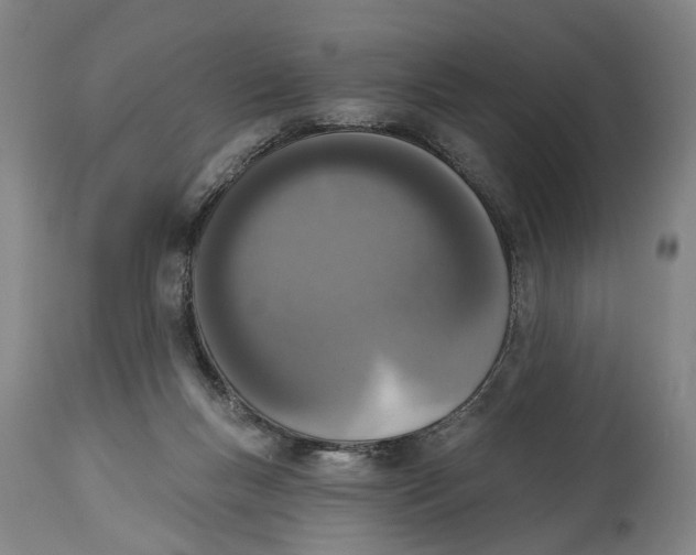 X0000115110167200911171313