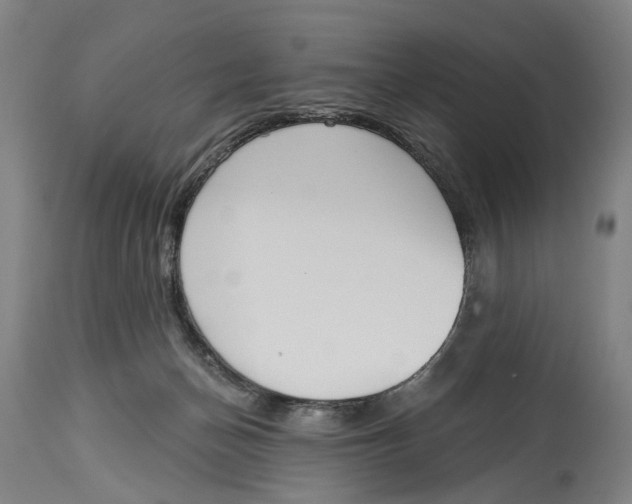 X0000115110174200911171313