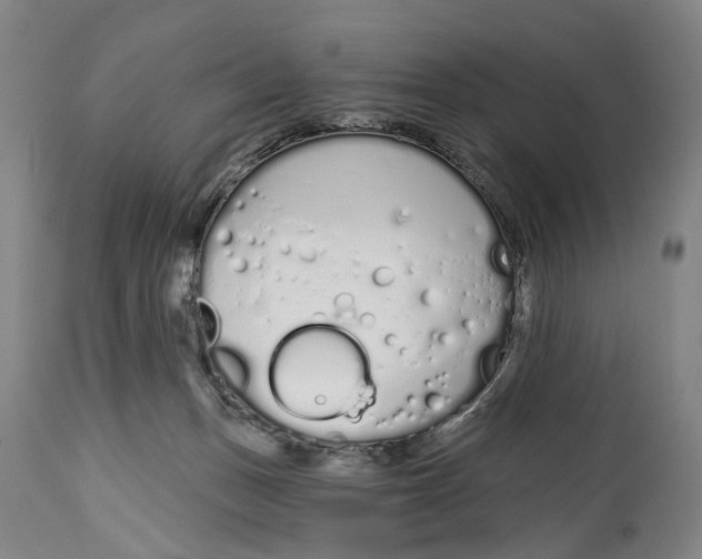 X0000115110175200911171313