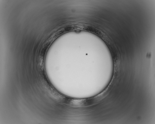 X0000115110178200911171313