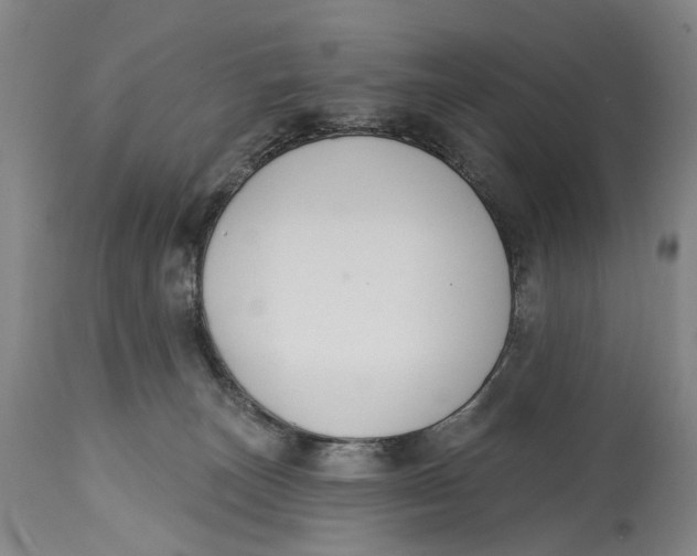 X0000115110179200911171313