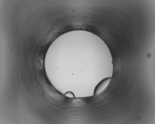 X0000115110183200911171313