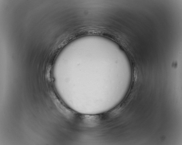 X0000115110185200911171313