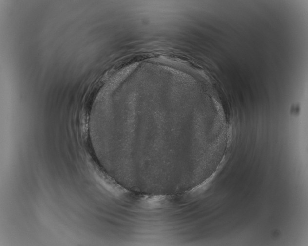 X0000115110186200911171313