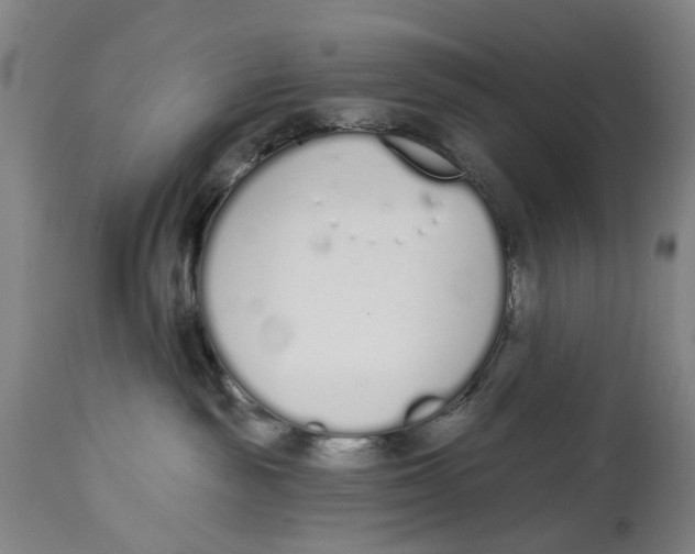 X0000115110189200911171313