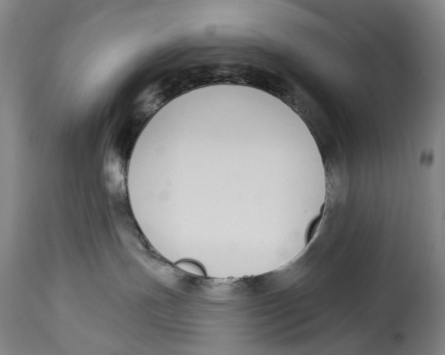X0000115110191200911171313