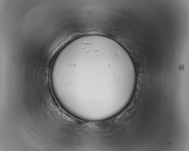 X0000115110194200911171313