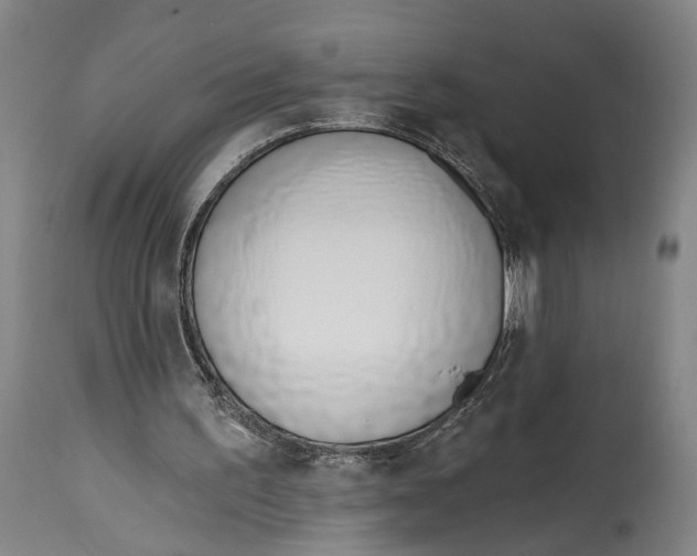 X0000115110195200911171313