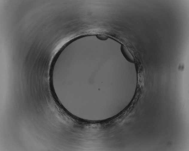 X0000115110196200911171313