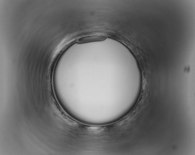 X0000115110198200911171313