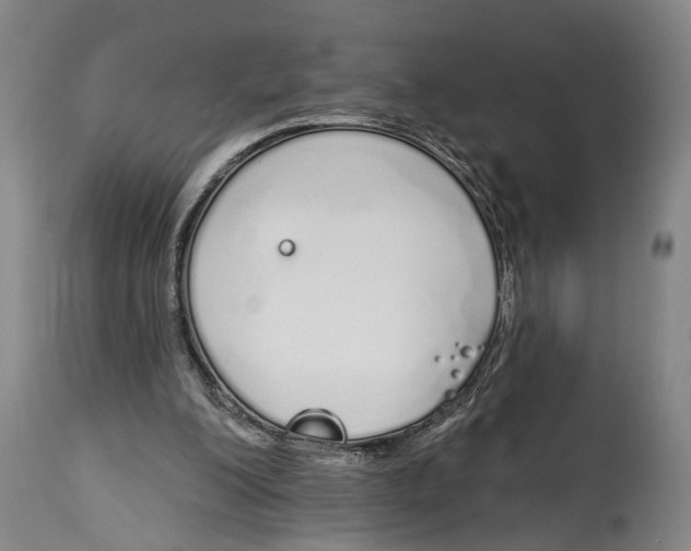 X0000115110200200911171313