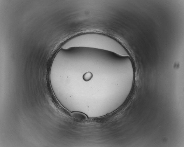 X0000115110201200911171313