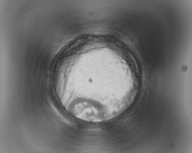 X0000115110202200911171313