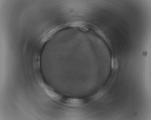 X0000115110205200911171312