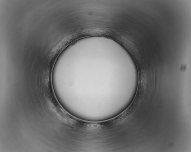 X0000115110206200911171312